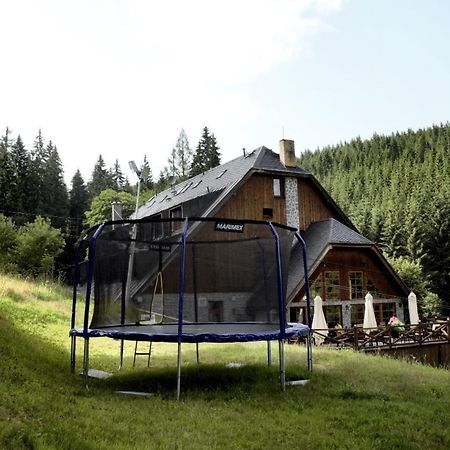 Horsky Hotel Vidly Karlova Studánka Dış mekan fotoğraf
