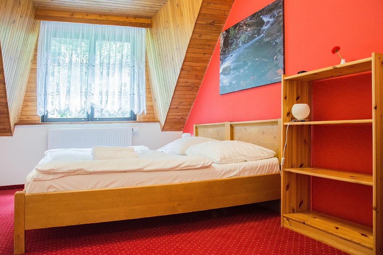 Horsky Hotel Vidly Karlova Studánka Dış mekan fotoğraf